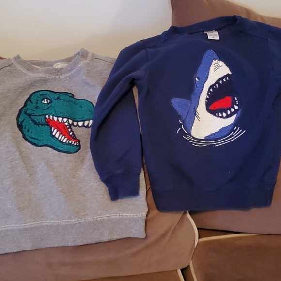 Carter's Other - 2 Carters Sweatshirts